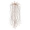 Celebrations Celebrations Orange 450 ct 4.9 in. LED Prelit Big Seed Waterfall Light Hanging Decor WWORA - alternate 1